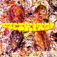 [cover of Overwhelming Colorfast]